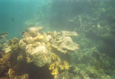 Great Barrier Reef - Green Island
