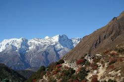 Nepal_2009_094.jpg