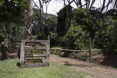 Umbwe Gate - Umbwe Cave Camp
