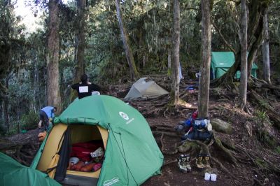 Umbwe Cave Camp - Barranco Camp
