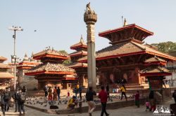 Nepal_2019-197.jpg