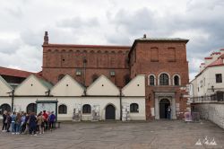 Polen_2019_Krakau_Auschwitz-126.jpg