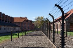 Polen_2019_Krakau_Auschwitz-147.jpg