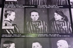 Polen_2019_Krakau_Auschwitz-162.jpg