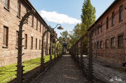 Polen_2019_Krakau_Auschwitz-170.jpg
