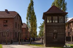 Polen_2019_Krakau_Auschwitz-171.jpg