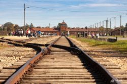 Polen_2019_Krakau_Auschwitz-177.jpg