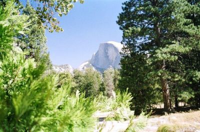 Yosemite N.P.
