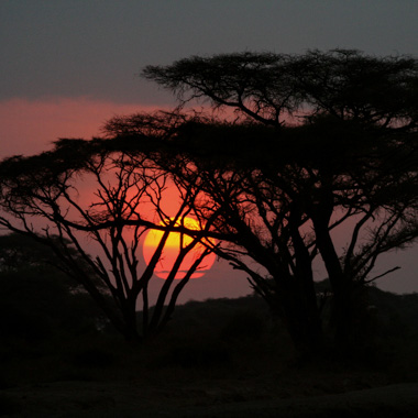 Kenia 2007 - Masai Mara & Meer