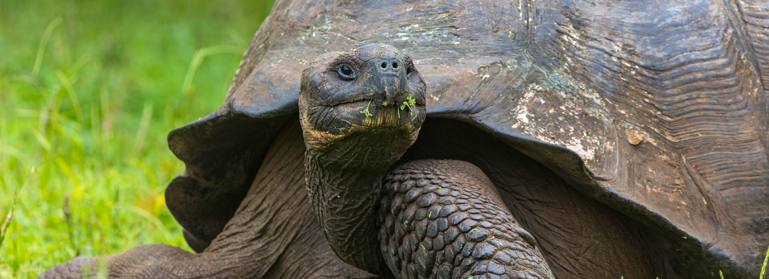 Ecuador & Galapagos 2025