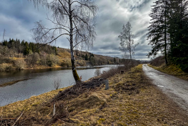 Elbingerode/Königshütte - Ruine Königsburg - Trogfurther Brücke - Königshütter Wasserfall
